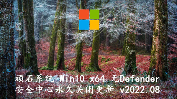 顽石系统 Win10 x64 无Defender安全中心_永久关闭更新版 v2022.08