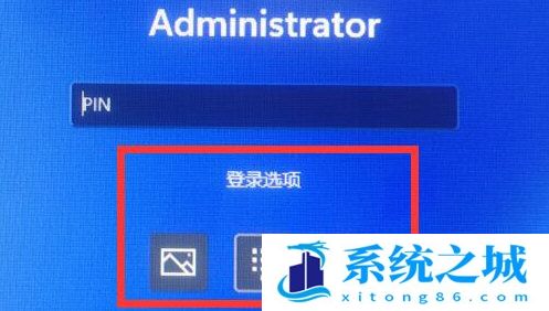 Windows11默认登录选项怎么设置