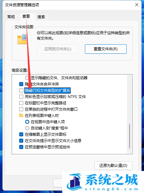 Win11,文件类型,系统文件步骤