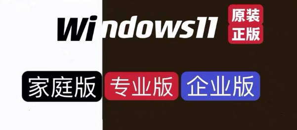 win10专业版密钥激活操作教程 v2023.06.27