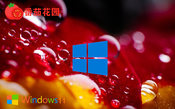 番茄花园 Win11 64位 数字权利永久激活_家喻户晓装机版 v2023.10