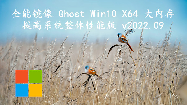 全能镜像 Ghost Win10 X64大内存 提高系统整体性能版 v2022.09